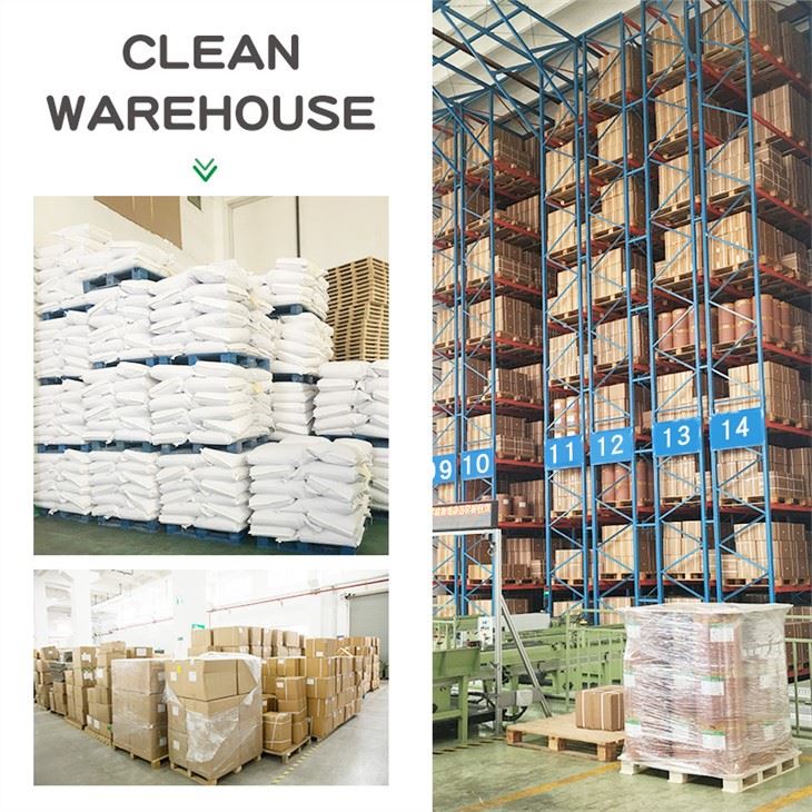 Lactobacillus-salivarius-powder-warehouse-4