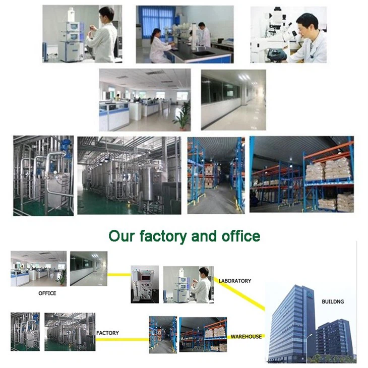 Alpha Acetolactate Decarboxylase factory
