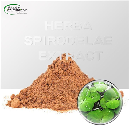 Extracte de spirodeles d’herba